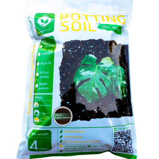 Image: https://sellercenter-global.com/uploads/master_image/VEN-188332_27974_20220205104258.jpg