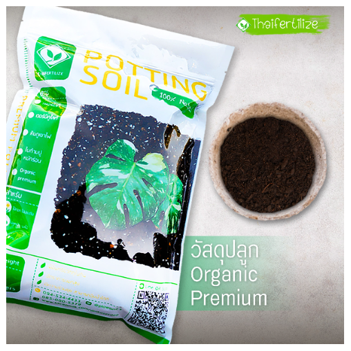 Image: https://sellercenter-global.com/uploads/master_image/VEN-188332_27974_20220205110102.jpg